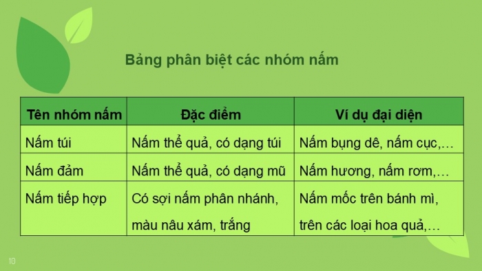 Giáo án PPT KHTN 6 cánh diều Bài 18: Đa dạng nấm