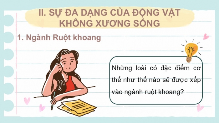 Giáo án PPT KHTN 6 cánh diều Bài 22: Đa dạng động vật không xương sống