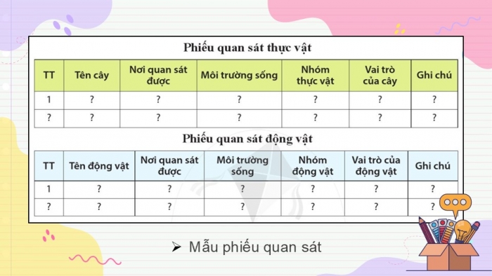 Giáo án PPT KHTN 6 cánh diều Bài 25: Tìm hiểu sinh vật ngoài thiên nhiên