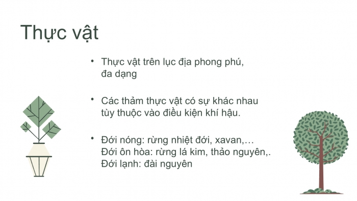 Giáo án PPT Địa lí 6 kết nối Bài 23: Sự sống trên Trái Đất