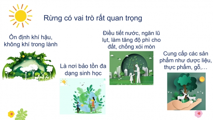 Giáo án PPT Địa lí 6 kết nối Bài 24: Rừng nhiệt đới