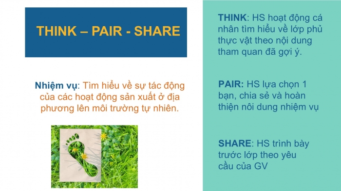 Giáo án PPT Địa lí 6 cánh diều Bài 26 Thực hành: Tìm hiểu tác động của con người lên môi trường tự nhiên trong sản xuất