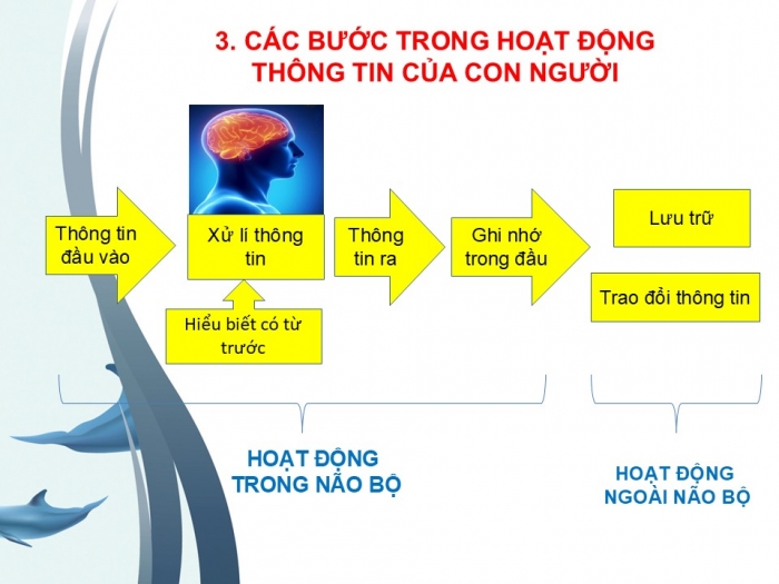 Giáo án PPT Tin học 6 cánh diều Bài 2: Lưu trữ và trao đổi thông tin