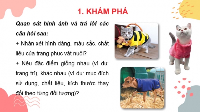 Giáo án PPT Mĩ thuật 6 cánh diều Bài 7: Thời trang cho vật nuôi