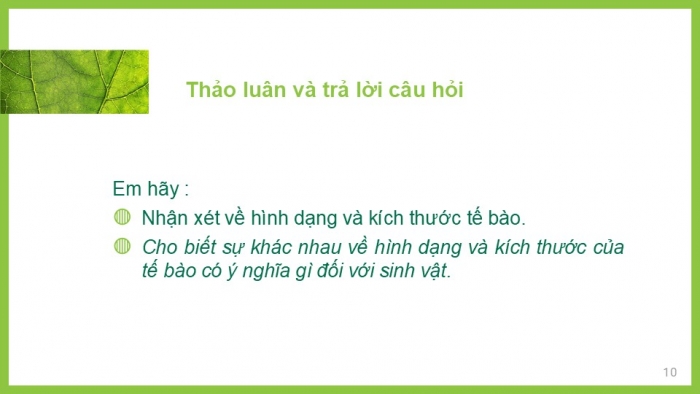 Giáo án PPT KHTN 6 chân trời Bài 17: Tế bào