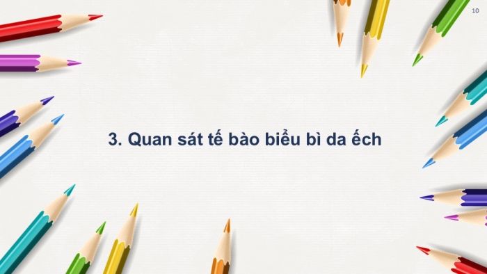 Giáo án PPT KHTN 6 chân trời Bài 18: Thực hành quan sát tế bào thực vật