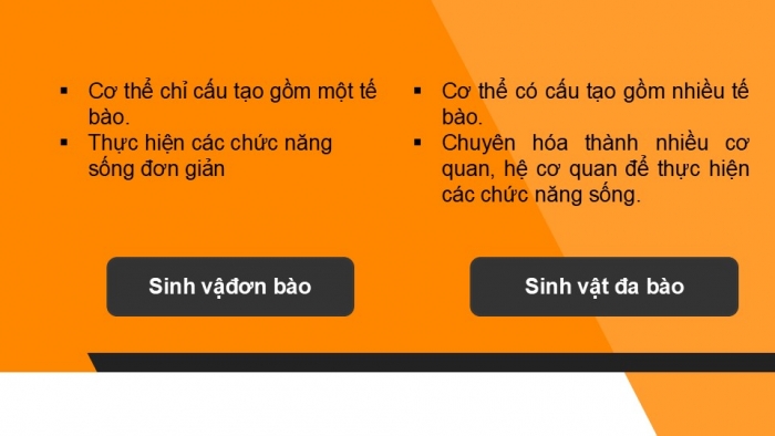 Giáo án PPT KHTN 6 chân trời Bài 19: Cơ thể đơn bào và cơ thể đa bào