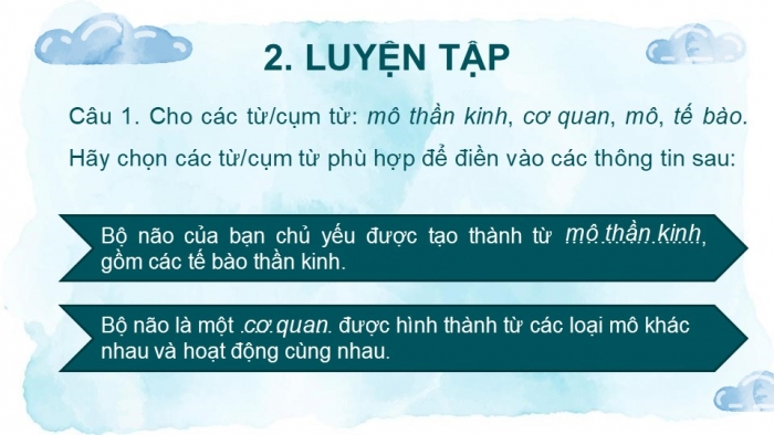 Giáo án PPT KHTN 6 chân trời Ôn tập Chủ đề 7