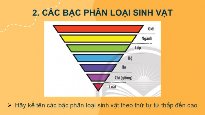 Giáo án PPT KHTN 6 chân trời Bài 22: Phân loại thế giới sống