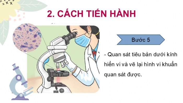 Giáo án PPT KHTN 6 chân trời Bài 26: Thực hành quan sát vi khuẩn. Tìm hiểu các bước làm sữa chua