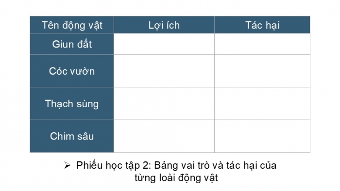 Giáo án PPT KHTN 6 chân trời Bài 32: Thực hành quan sát và phân loại động vật ngoài thiên nhiên