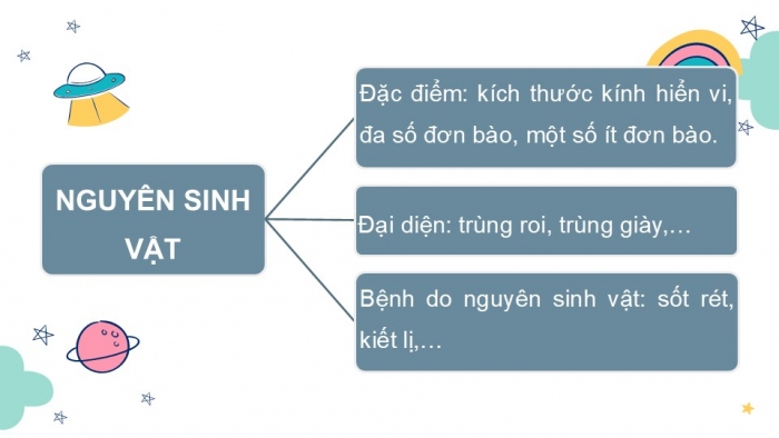 Giáo án PPT KHTN 6 chân trời Ôn tập Chủ đề 8