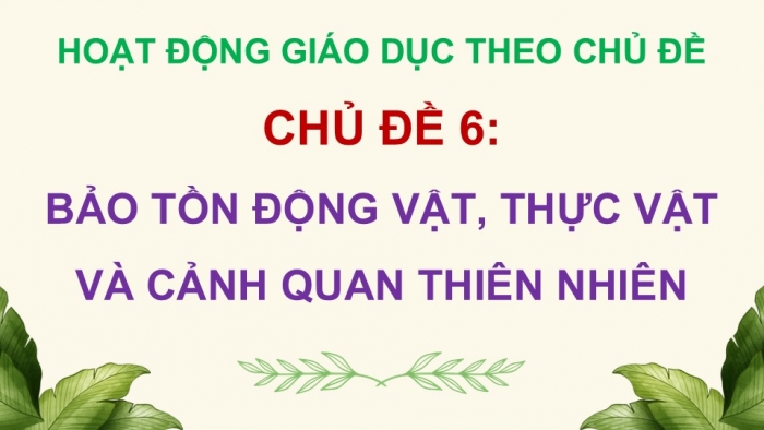 Giáo án điện tử Hoạt động trải nghiệm 12 chân trời bản 2 Chủ đề 6: Bảo tồn động vật, thực vật và cảnh quan thiên nhiên (P1)