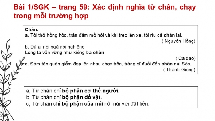 Giáo án PPT Ngữ văn 6 cánh diều Bài 3: Thực hành tiếng Việt