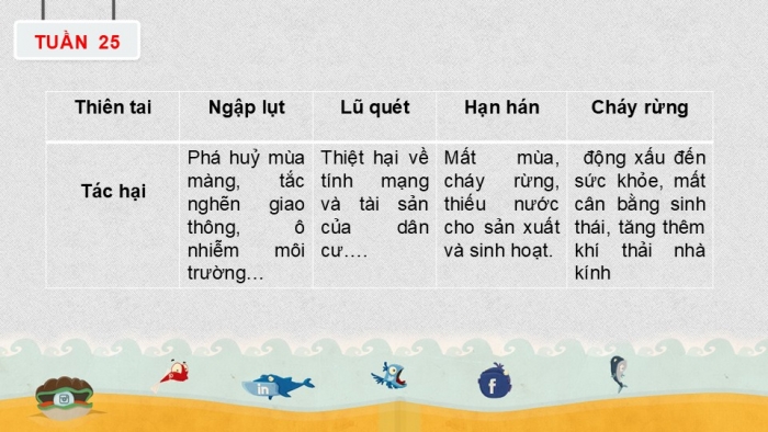 Giáo án PPT HĐTN 6 cánh diều Chủ đề 7: Thách thức của thiên nhiên - Tuần 25