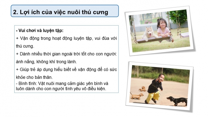 Giáo án PPT Ngữ văn 6 cánh diều Bài 8: Tại sao nên có vật nuôi trong nhà?