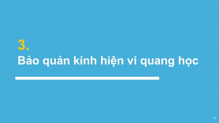 Giáo án PPT KHTN 6 kết nối Bài 4: Sử dụng kính hiển vi quang học