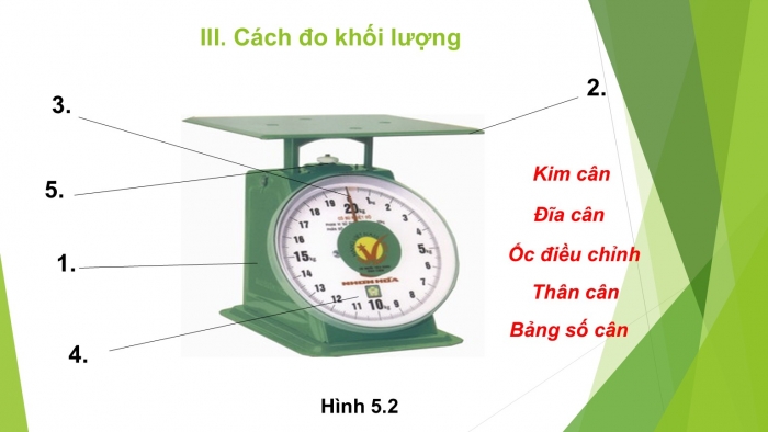 Giáo án PPT KHTN 6 kết nối Bài 6: Đo khối lượng