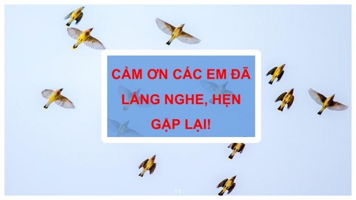 Giáo án PPT Công nghệ 6 chân trời Ôn tập Chương 1