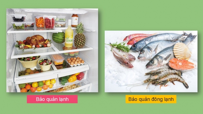 Giáo án PPT Công nghệ 6 chân trời Bài 5: Bảo quản và chế biến thực phẩm trong gia đình