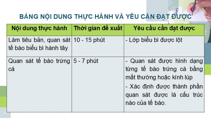 Giáo án PPT KHTN 6 kết nối Bài 21 Thực hành: Quan sát và phân biệt một số loại tế bào