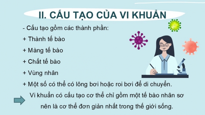 Giáo án PPT KHTN 6 kết nối Bài 27: Vi khuẩn