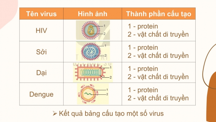 Giáo án PPT KHTN 6 kết nối Bài 29: Virus