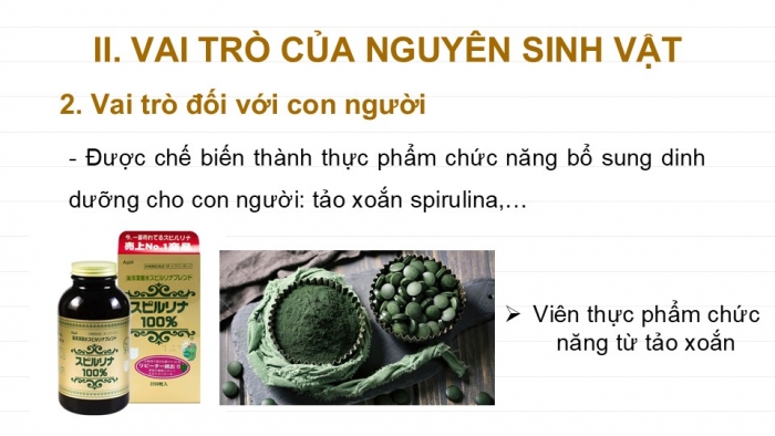 Giáo án PPT KHTN 6 kết nối Bài 30: Nguyên sinh vật