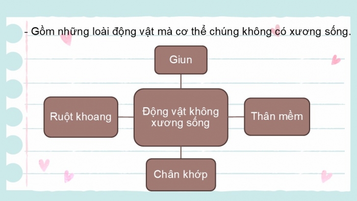 Giáo án PPT KHTN 6 kết nối Bài 36: Động vật