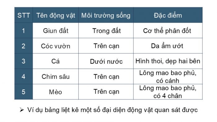 Giáo án PPT KHTN 6 kết nối Bài 37 Thực hành: Quan sát và nhận biết một số nhóm động vật ngoài thiên nhiên