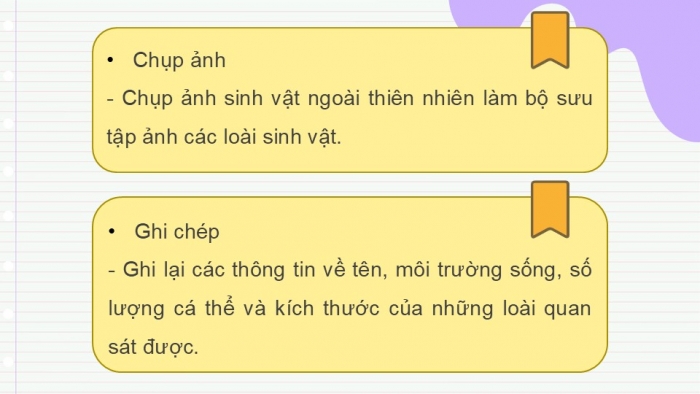 Giáo án PPT KHTN 6 kết nối Bài 39: Tìm hiểu sinh vật ngoài thiên nhiên