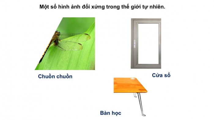 Giáo án PPT Toán 6 cánh diều Bài 7: Đối xứng trong thực tiễn