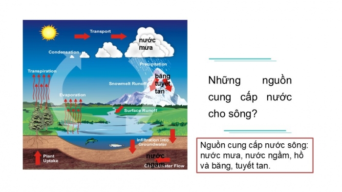 Giáo án PPT Địa lí 6 chân trời Bài 17: Sông và hồ