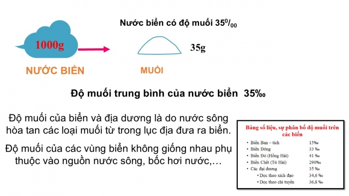 Giáo án PPT Địa lí 6 chân trời Bài 18: Biển và đại dương