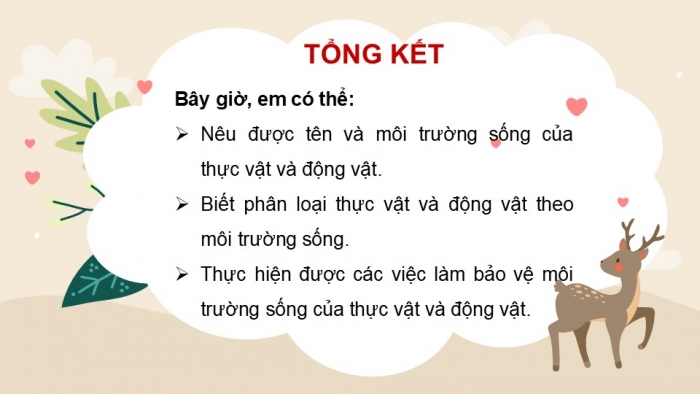 Giáo án PPT Tự nhiên và Xã hội 2 kết nối Bài 20: Ôn tập chủ đề Thực vật và động vật