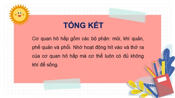 Giáo án PPT Tự nhiên và Xã hội 2 kết nối Bài 23: Tìm hiểu cơ quan hô hấp