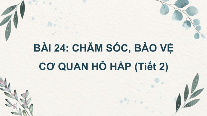 Giáo án PPT Tự nhiên và Xã hội 2 kết nối Bài 24: Chăm sóc, bảo vệ cơ quan hô hấp