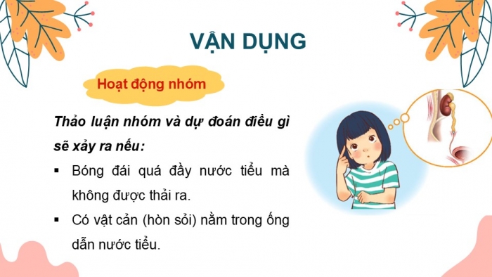 Giáo án PPT Tự nhiên và Xã hội 2 kết nối Bài 25: Tìm hiểu cơ quan bài tiết nước tiểu