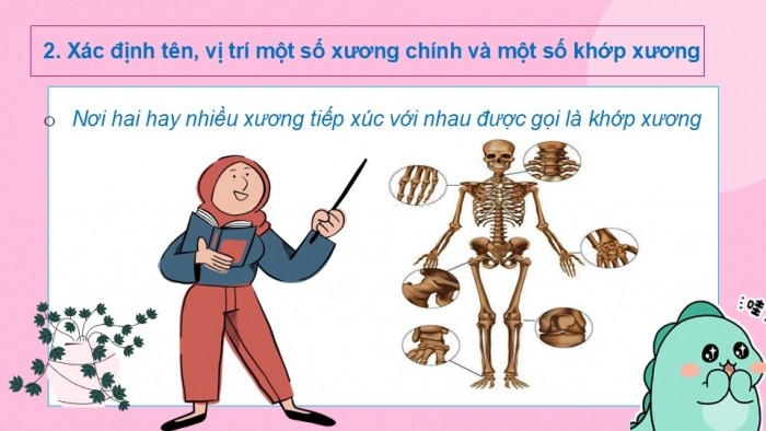 Giáo án PPT Tự nhiên và Xã hội 2 cánh diều Bài 14: Cơ quan vận động