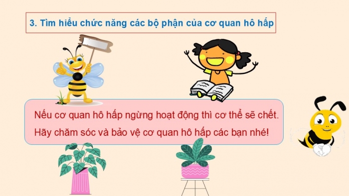 Giáo án PPT Tự nhiên và Xã hội 2 cánh diều Bài 16: Cơ quan hô hấp