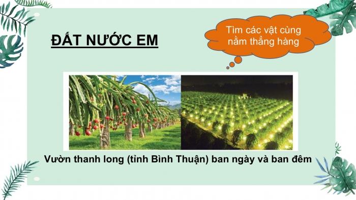 Giáo án PPT Toán 2 chân trời bài Ba điểm thẳng hàng