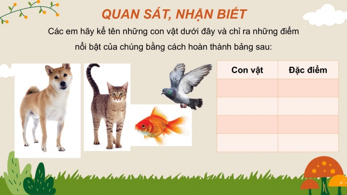 Giáo án PPT Mĩ thuật 2 cánh diều Bài 14: Con vật nuôi quen thuộc