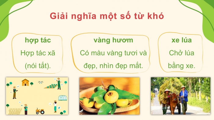 Giáo án điện tử Tiếng Việt 5 cánh diều Bài 13: Hè vui