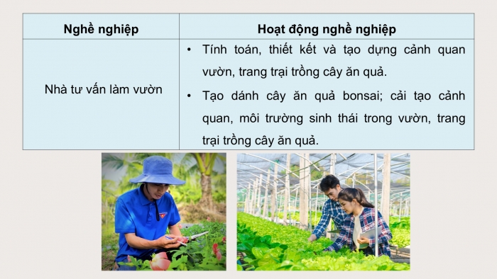 Giáo án điện tử Công nghệ 9 Trồng cây ăn quả Cánh diều Bài 12: Một số ngành nghề liên quan đến trồng cây ăn quả