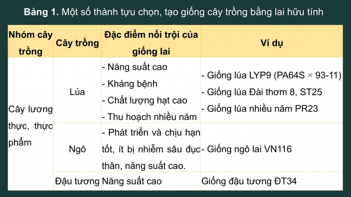 Giáo án điện tử Sinh học 12 cánh diều Bài 12: Thành tựu chọn, tạo giống bằng lai hữu tính