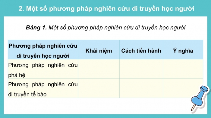 Giáo án điện tử Sinh học 12 cánh diều Bài 14: Di truyền học người