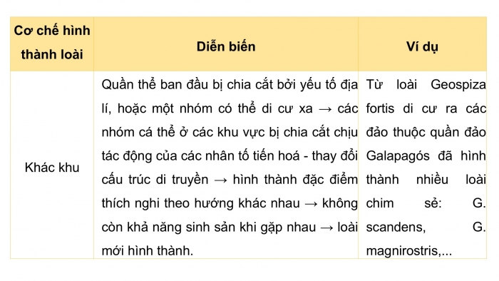 Giáo án điện tử Sinh học 12 cánh diều Bài 18: Thuyết tiến hoá tổng hợp hiện đại (Phần 2)