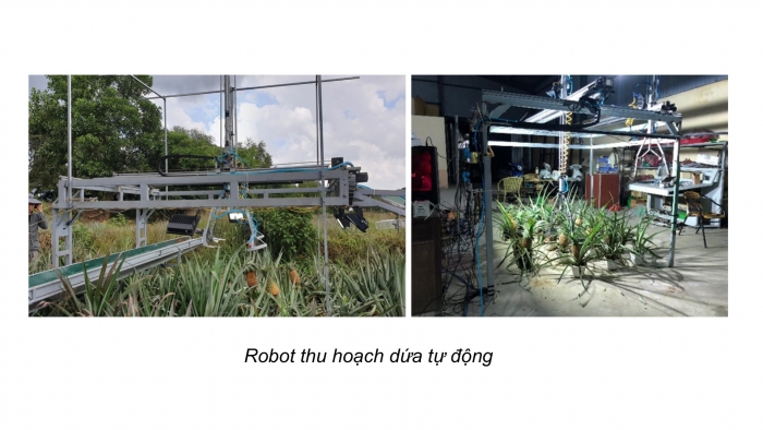 Giáo án điện tử chuyên đề Công nghệ 12 Điện - Điện tử Cánh diều Bài 8: Hình thành ý tưởng và lập kế hoạch nghiên cứu dự án thiết kế robot thu hoạch dứa tự động