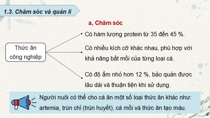 Giáo án điện tử chuyên đề Công nghệ 12 Lâm nghiệp Thuỷ sản Cánh diều Bài 10: Kĩ thuật nuôi dưỡng, chăm sóc một số loại cá cảnh phổ biến