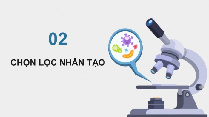 Giáo án điện tử KHTN 9 kết nối - Phân môn Sinh học Bài 49: Khái niệm tiến hóa và các hình thức chọn lọc